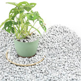 Biotolot 9qt chunky perlite large pieces improve root airflow