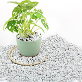 Biotolot chunky perlite bag showing a lightweight soil amendment for pots