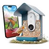 BirdBuddy Pro camera live stream for real-time backyard bird activity.