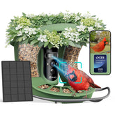 Birdfy Bird Feeder with Dual-Lens front view captures motion with cinematic detail.