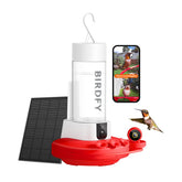 Birdfy hummingbird feeder front camera captures 2K detail for close-up viewing.