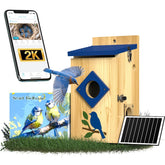 BirdoorKam smart bird house interior with camera for easy backyard birdwatching.