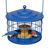 Birdream Squirrel-Proof Bird Feeder Cage deters squirrels at the feeding station