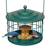 Birdream squirrel-proof bird feeder outdoors in green keeps seed safe for small birds.