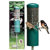 Birds Choice classic squirrel-proof feeder with pole mount protects seed from squirrels.