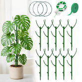 Bitjoy Monstera circle trellis provides stable vertical support for climbing plants indoors.
