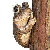 Bits and Pieces Keep Quiet Frog Tree Peeker front view adds whimsy to outdoors