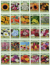 Black Duck Brand 25-seed packets arranged for a pollinator-friendly garden attracting bees and butterflies