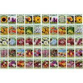 Black Duck Brand 50 flower seed packets ready for planting in your garden.
