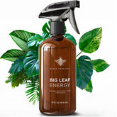 Bless Your Soil Big Leaf Energy bottle front with neem oil formula