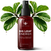 Bless Your Soil Neem Oil Spray bottle front for easy indoor plant care.