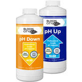 Bloom City pH Up Down kit bottles setup for precise pH control