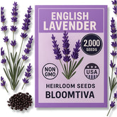 Bloomtiva Premium English Lavender Seeds pack for indoor and outdoor planting.