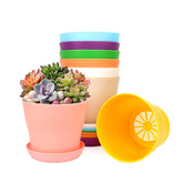 Bluckincle 4.7-inch colorful pot set ideal for vibrant indoor plant displays.