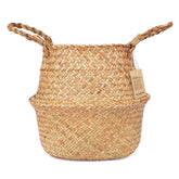 Blueming Olive Tree Basket with wicker-seagrass texture used as a stylish planter cover.