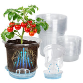 Bluepro 12-pack 6.5 inch clear pot for seedlings and herbs.