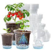 Bluepro 18-pack clear pots in three sizes, ideal for seedling starts and growth monitoring.