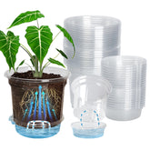 Bluepro 20-pack 5-inch clear self-watering pot with bottom tray for seedlings
