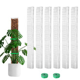 Bluepro 24-inch moss pole supports Monstera growth for vertical, healthier leaves.