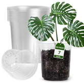 Bluepro 1-gallon reinforced clear nursery pot for reusable seedling propagation.