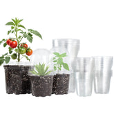 Bluepro 36 pack clear nursery pots with domes support healthy seed starting.