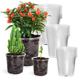 Bluepro 5-inch clear nursery pot showing durable, reusable seed starting.
