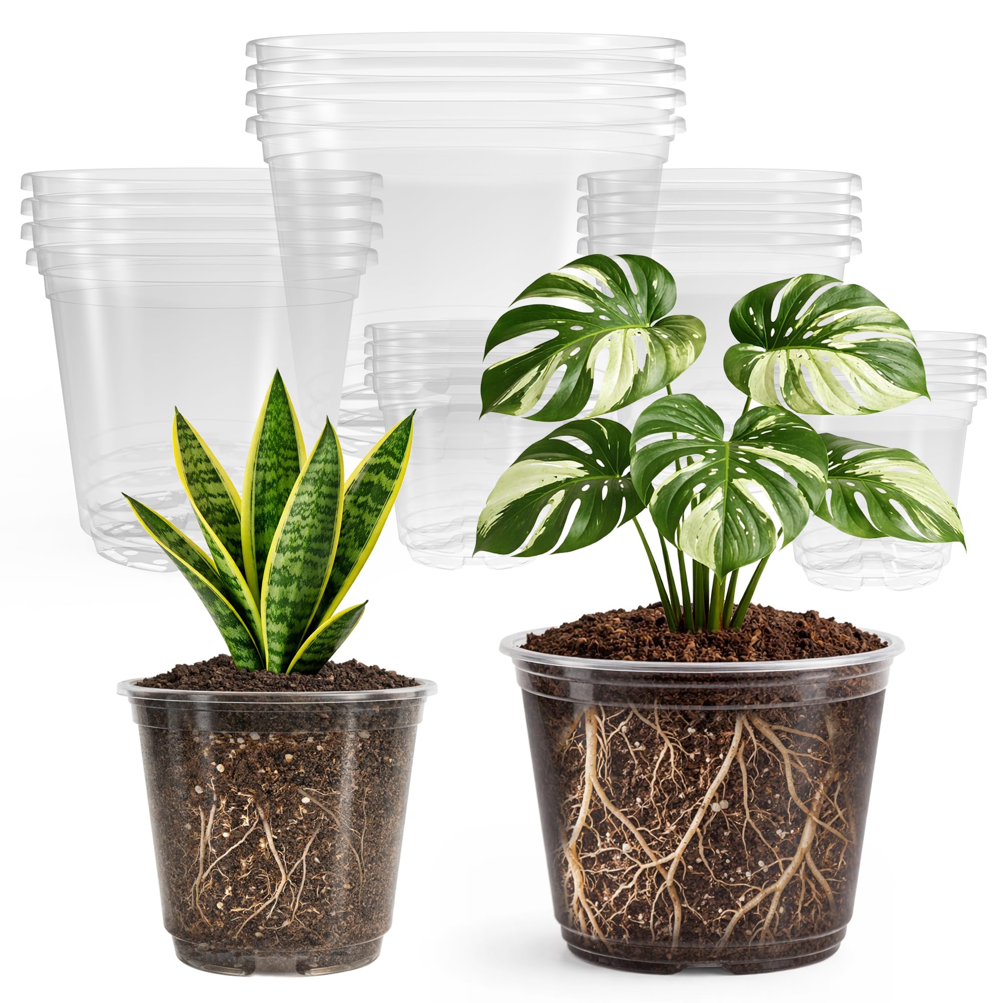 Bluepro clear nursery pot 8-inch with drainage holes for seed starting.