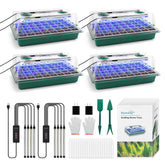 BlumWay seed starter tray with clear dome for easy seedling monitoring