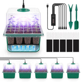 BlumWay self-watering seed starter tray front view for germination balance