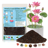 BobbleT aquatic soil surrounds water lily roots for stable growth.