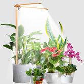 bodkar wooden grow light two-head over a potted herbs delivering sunlight-like spectrum.