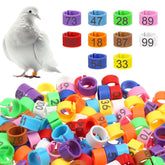 BOHUIZ 8mm baby chick leg bands in assorted colors for quick ID.