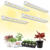 Bokeedo T5 bar shows 3-in-1 spectrum for healthy seedling growth on shelves.