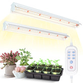 Bokeedo T5 grow light full spectrum setup promotes vibrant indoor plant growth.