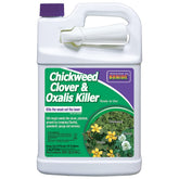 Bonide Chickweed, Clover & Oxalis Killer spray bottle ready-to-use for lawns.