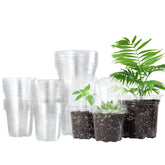 Bonviee 3.5-inch clear nursery pot with dome and holes for healthy drainage