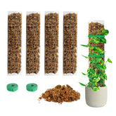 Bonviee moss poles 4-pack ready to support vertical growth for climbing plants