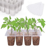 Bonviee seed starter tray with 12-cell layout for visible root growth