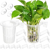 Borlech aquarium plant holder with extension hooks for stable plant placement.