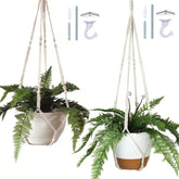 Bouqlife macrame hanger 43in beige 2-pack for stable indoor plant display.