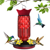 Bourid hummingbird feeder with five flower ports attracts multiple birds.