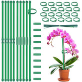 BOVITRO 14.2in plant stake supporting an orchid indoors