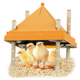 BREDASINX brooder plate with triangular cone design deters perching and keeps the brooder cleaner