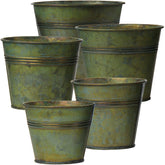 Briful galvanized buckets set in five sizes for versatile planter displays.
