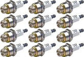 Briggs & Stratton RJ19LM spark plug pack 12 for reliable engine starts