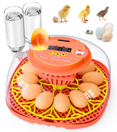 Brnvl 12-egg incubator digital display for precise temperature control at home
