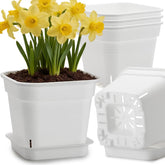BTPLASTIK 10-inch square planter with raised airflow center promotes robust root health.