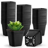 BTPLASTIK 4-inch seedling pot with drainage holes for healthy transplanting.