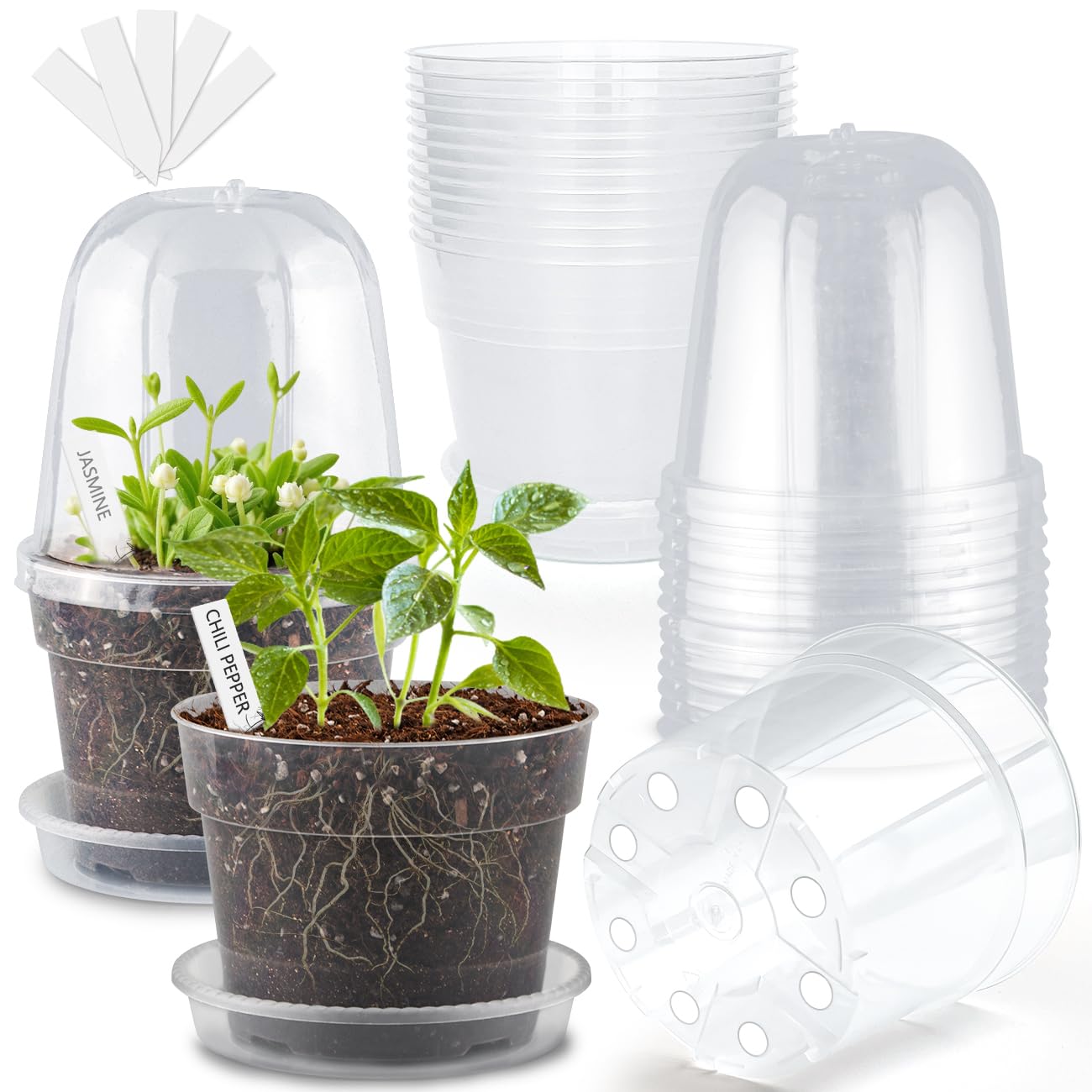 BTPLASTIK 6-inch clear nursery pot with humidity dome for seed germination