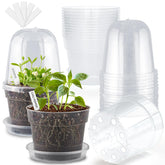 BTPLASTIK 6-inch clear nursery pot with humidity dome for seed germination